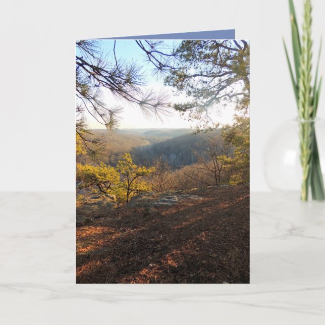 Cartes Pour Fêtes Annuelles Reach for the light, View of the hills (Devant)