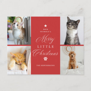 Cartes Pour Fêtes Annuelles Red 4 Photo Joyeux petit Noël Pet Holiday