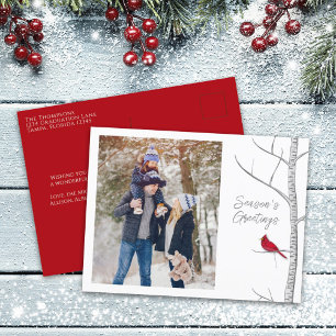 Cartes Pour Fêtes Annuelles Red Cardinal Woodland Winter Tree Multi One Photo
