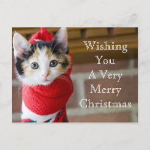 Cartes Pour Fêtes Annuelles Red Christmas Kitten