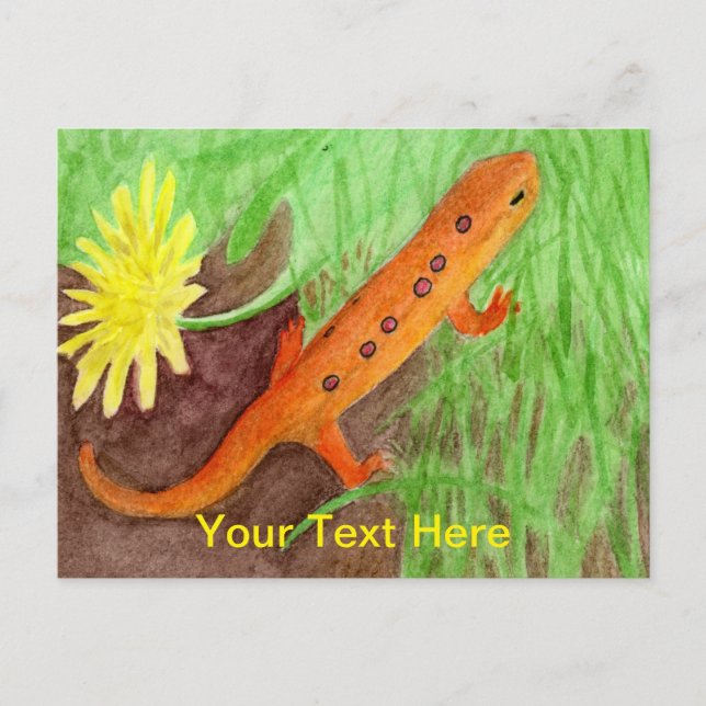Cartes Pour Fêtes Annuelles Red Eft Eastern Newt (Devant)