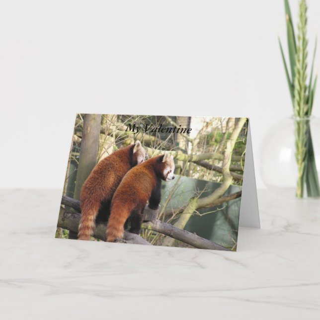 Cartes Pour Fêtes Annuelles Red Panda Valentine Card (Devant)