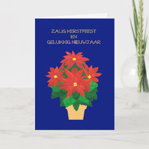 Cartes Pour Fêtes Annuelles Red Poinsettias on Blue Flemish Language Greeting