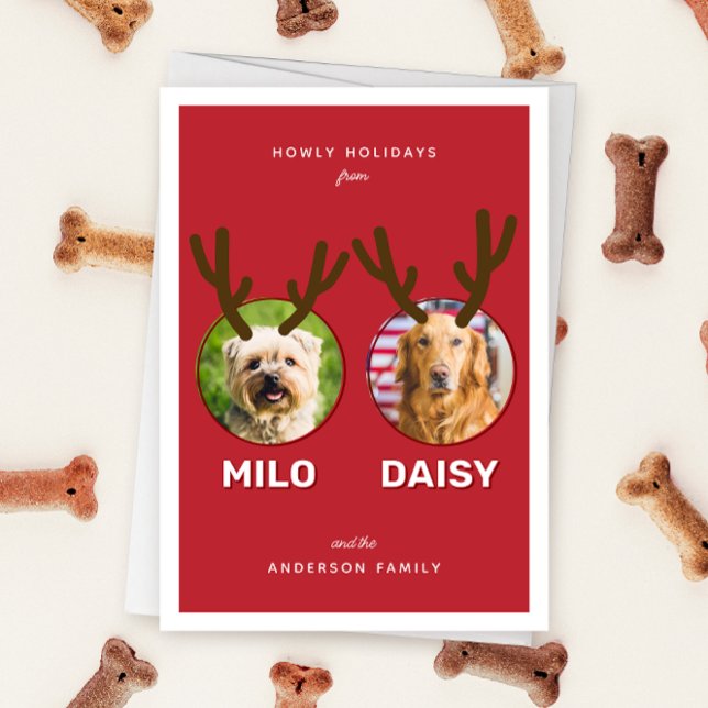 Cartes Pour Fêtes Annuelles Red Reinpet 2 Photo Animaux de Noël (Red two photo pet Christmas holiday card with message "Howly Holidays" with two sets of antlers)