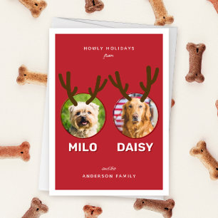 Cartes Pour Fêtes Annuelles Red Reinpet 2 Photo Animaux de Noël Fête Plié