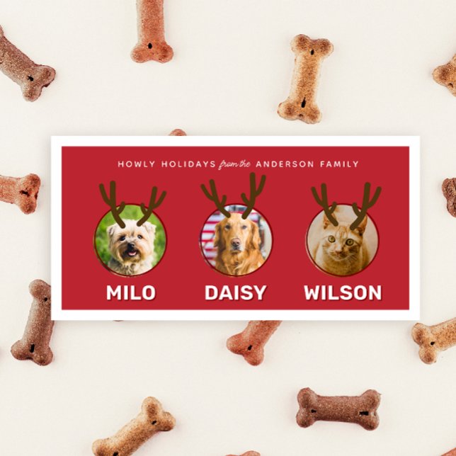 Cartes Pour Fêtes Annuelles Red Reinpet 3 Photo Pet Noël (red three photo funny pet Christmas holiday card with antlers and custom message on the back)