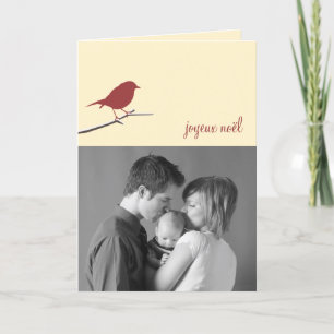 Cartes Pour Fêtes Annuelles Red robin Joyeux Noël Christmas photo modern