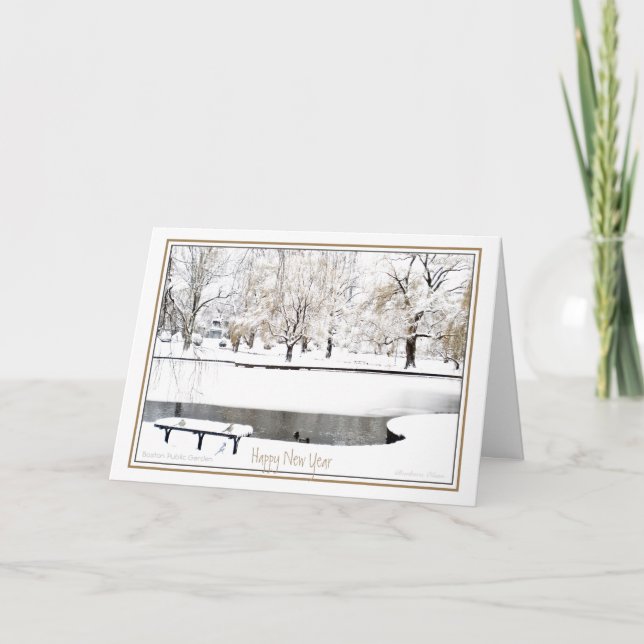 Cartes Pour Fêtes Annuelles Réflexion : En Nouvel An : Jardin Public De Boston (Devant)