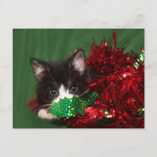 Cartes Pour Fêtes Annuelles Regards pour Père Noël