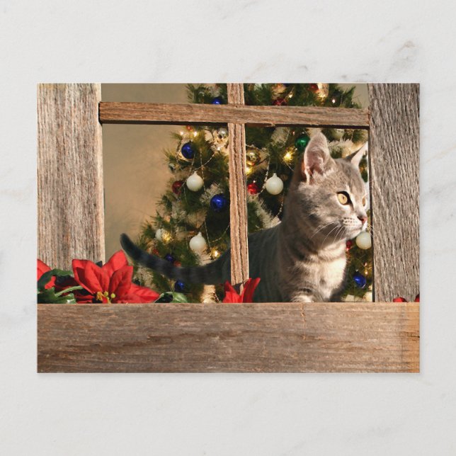 Cartes Pour Fêtes Annuelles Regards pour Père Noël (Devant)