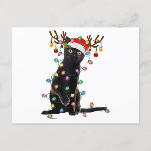 Cartes Pour Fêtes Annuelles Reindeer Chat Noir Feux de Noël Drôle Chat Amour