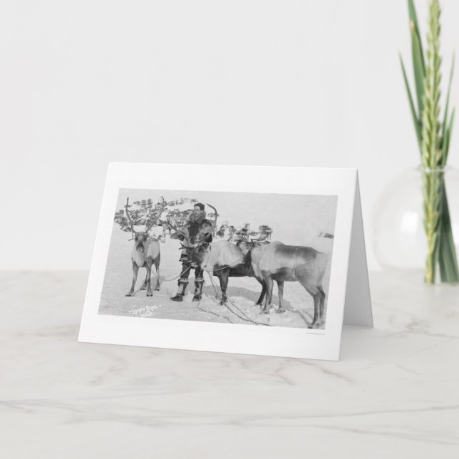 Cartes Pour Fêtes Annuelles Reindeer Herd Alaska 1909 (Devant)