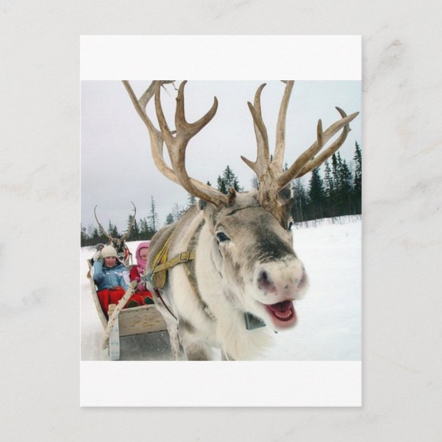 Cartes Pour Fêtes Annuelles Reinder de Noël (Devant)
