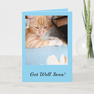 Cartes Pour Fêtes Annuelles Remettez-vous vite !  Amoureux des Chats Bleu