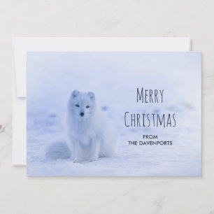 Cartes Pour Fêtes Annuelles Renard arctique mignon sur fond enneigé d'hiver