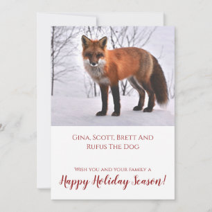 Cartes Pour Fêtes Annuelles Renard dans la neige Noël Nature