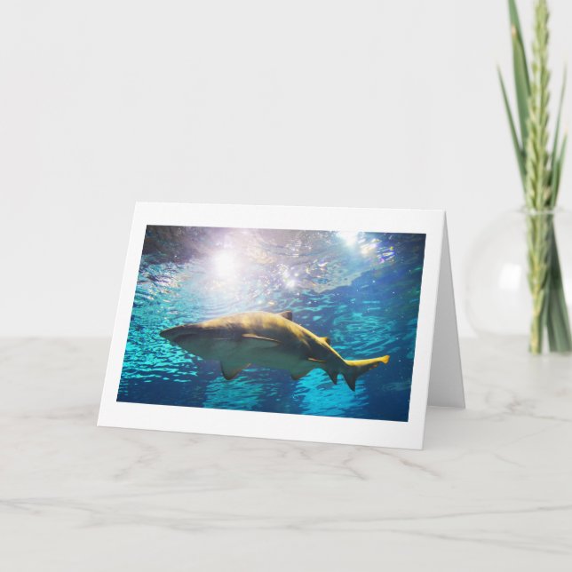 Cartes Pour Fêtes Annuelles requin-tigre de sable (Devant)