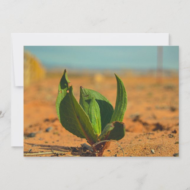 Cartes Pour Fêtes Annuelles résilience (Devant)