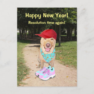 Cartes Pour Fêtes Annuelles Résolution drôle personnalisable de nouvelle année