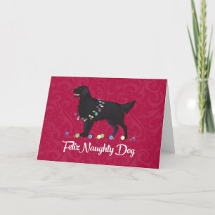 Cartes Pour Fêtes Annuelles Retriever noir plat Feliz Naughty Chien