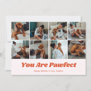 Cartes Pour Fêtes Annuelles Rétro Vous êtes une maman de chien parfaite 12 Pho