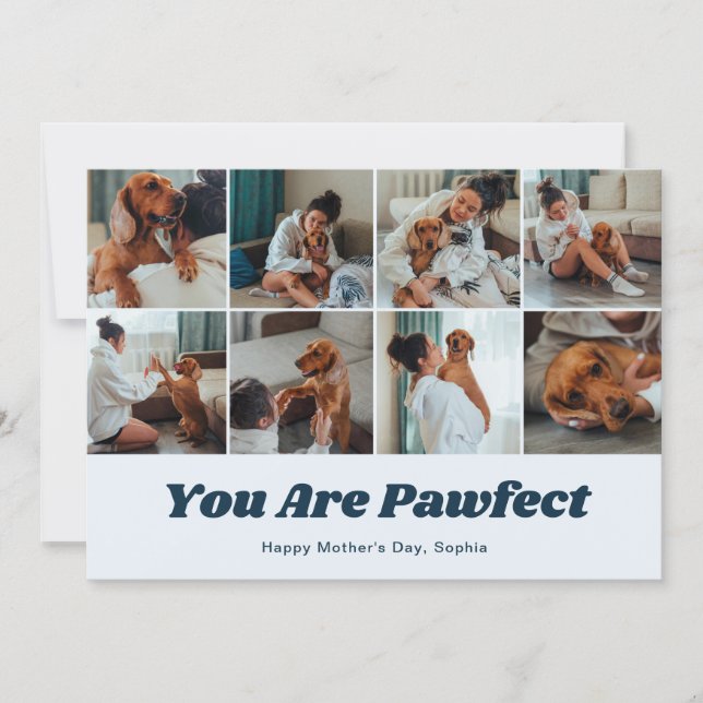 Cartes Pour Fêtes Annuelles Retro You Are Pawfect Dog Mom 12 Photo Blue (Devant)