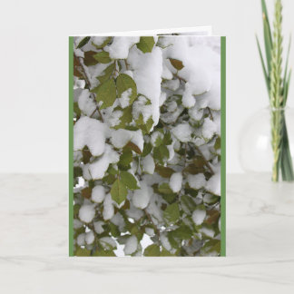 Cartes Pour Fêtes Annuelles Réunion saisonnière - Holly en hiver, dégel du pri