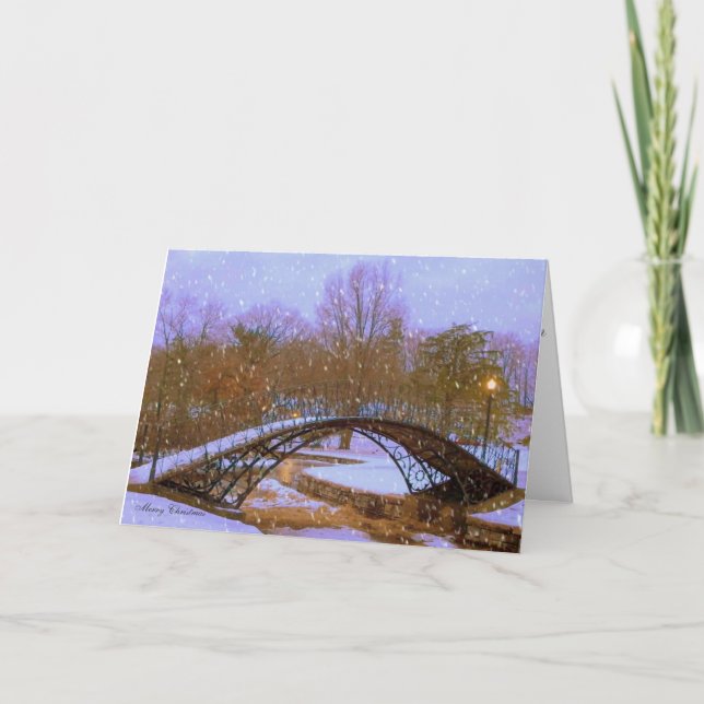 Cartes Pour Fêtes Annuelles Réveillon de Noël en parc (Devant)