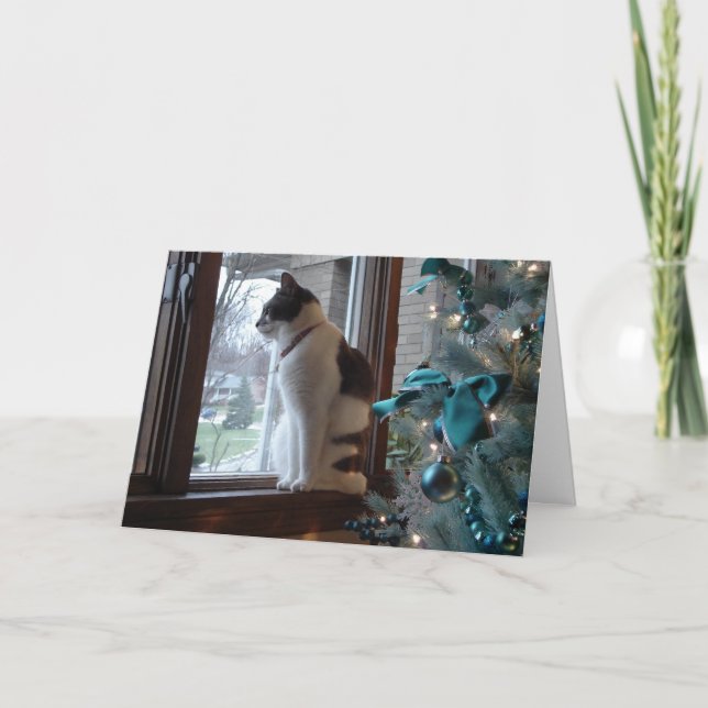 Cartes Pour Fêtes Annuelles Rêves de Noël (Devant)