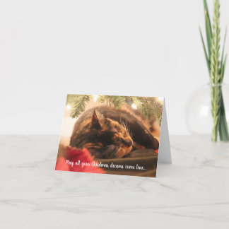 Cartes Pour Fêtes Annuelles Rêves de Noël Chat Calico Endormi, Personnalisé