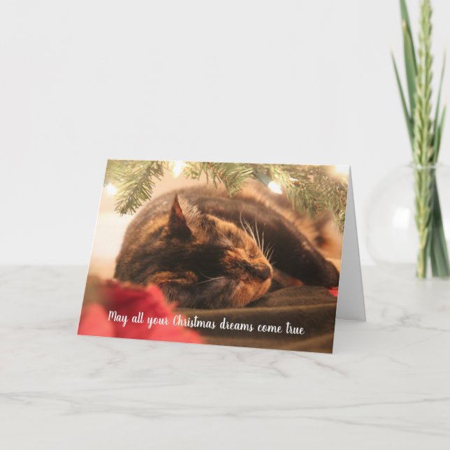 Cartes Pour Fêtes Annuelles Rêves de Noël Dormir Calico Chat, personnalisées (Devant)