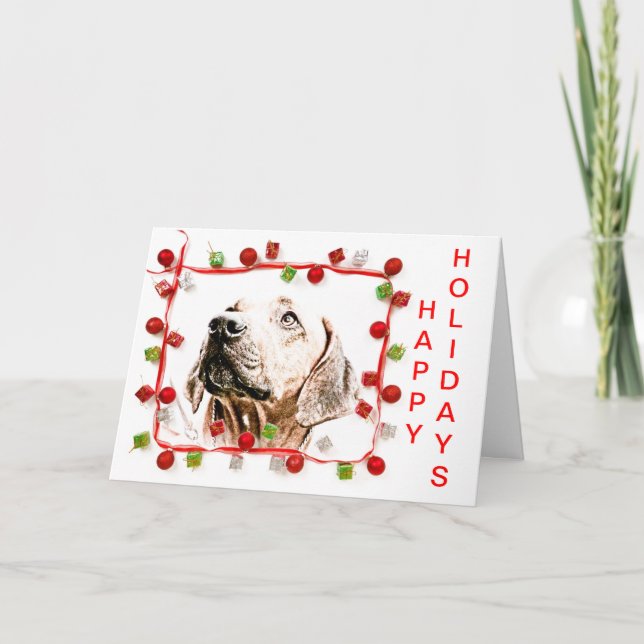 Cartes Pour Fêtes Annuelles Rhodesian Ridgeback (Devant)