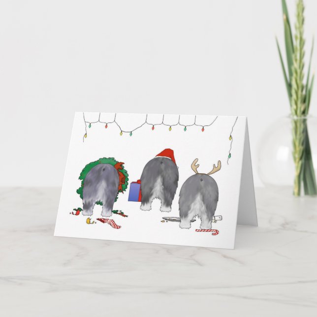 Cartes Pour Fêtes Annuelles Rien n'aboutent Noël de chien de berger (Devant)