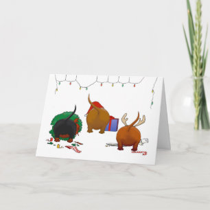 Cartes Pour Fêtes Annuelles Rien n'aboutent Noël de Doxie