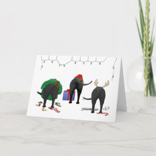 Cartes Pour Fêtes Annuelles Rien n'aboutent Noël de laboratoire