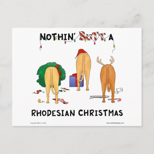 Cartes Pour Fêtes Annuelles Rien n'aboutent Noël de Rhodesian (Devant)