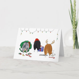 Cartes Pour Fêtes Annuelles Rien n'aboutent Noël de Sheltie