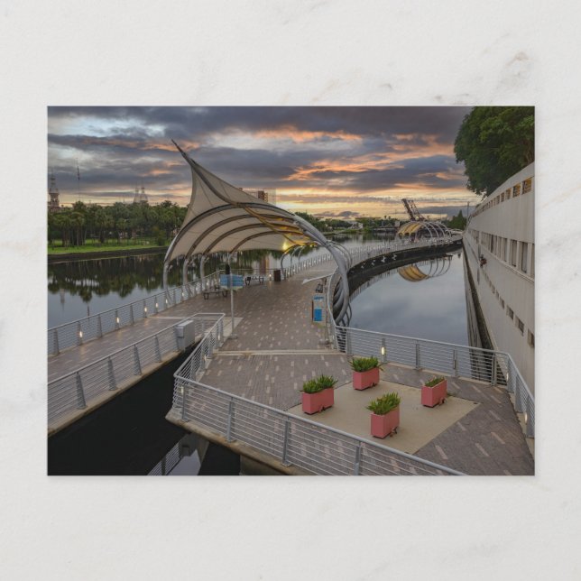 Cartes Pour Fêtes Annuelles Riverwalk à Tampa (Devant)