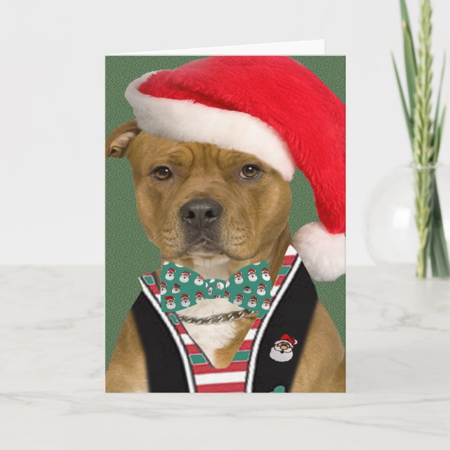 Cartes Pour Fêtes Annuelles Robes Pitbull pour Père Noël (Devant)