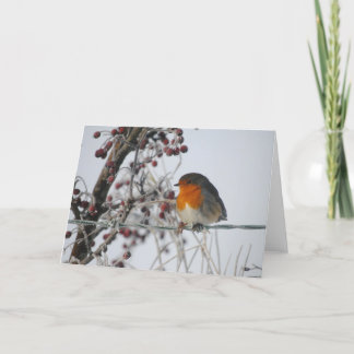 Cartes Pour Fêtes Annuelles Robin d'hiver