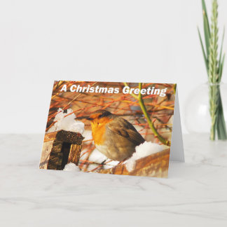 Cartes Pour Fêtes Annuelles Robin et neige