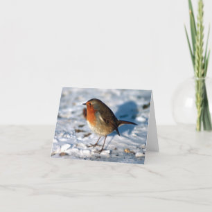 Cartes Pour Fêtes Annuelles Robin personnalisé dans la neige