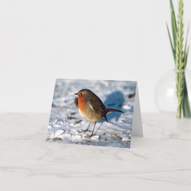 Cartes Pour Fêtes Annuelles Robin personnalisé dans la neige (Devant)