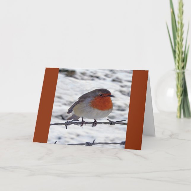 Cartes Pour Fêtes Annuelles Robin Redmamin (Devant)