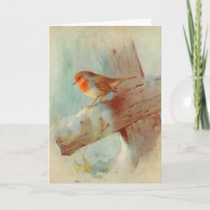 Cartes Pour Fêtes Annuelles Robin rouge