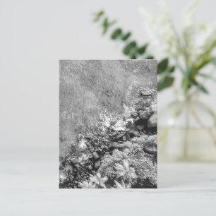 Cartes Pour Fêtes Annuelles Rochers dans la mer, vue au-dessus 2