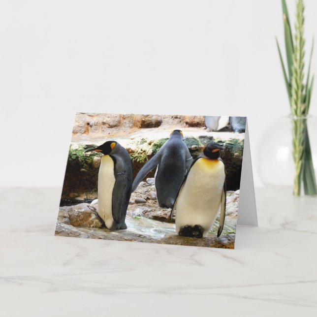 Cartes Pour Fêtes Annuelles Roi Pingouin (Devant)