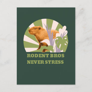 Cartes Pour Fêtes Annuelles Rongeurs Frères Ne Stressez Jamais Capybara