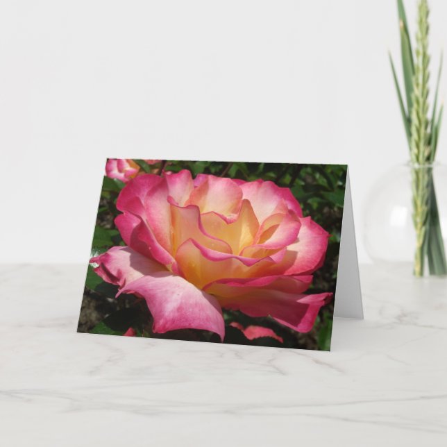 Cartes Pour Fêtes Annuelles Rose (Devant)