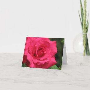 Cartes Pour Fêtes Annuelles Rose